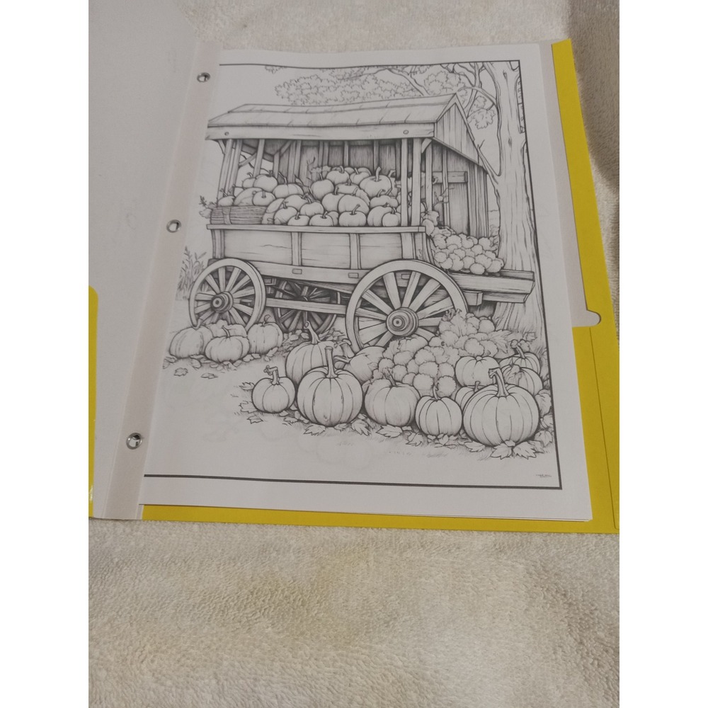 Fall/Thanksgiving Coloring Books - Picture 2 of 14